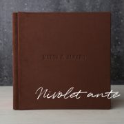 nivolet ante02